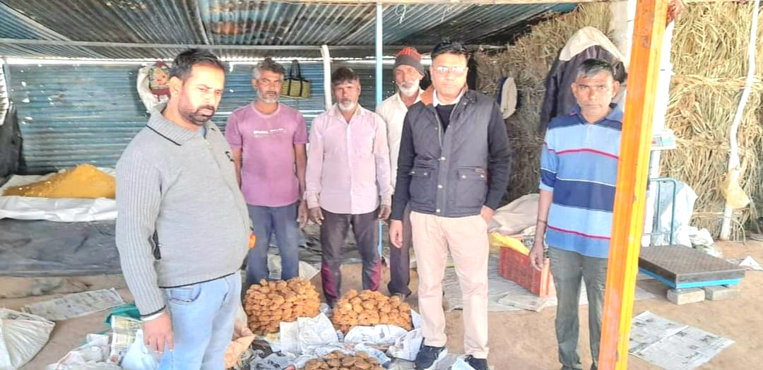 The food safety team collected samples of jaggery from various mills located on Phagwara Road.